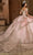 Rachel Allan RQ3129 - Fringe Embellished Off-Shoulder Ballgown Ball Gowns