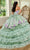 Rachel Allan RQ5002 - Floral Applique Strapless Ballgown Ball Gowns