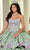 Rachel Allan RQ5002 - Floral Applique Strapless Ballgown Ball Gowns