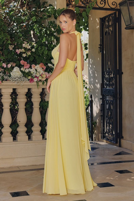 Amoris by Ladivine T715 - Flowing Chiffon A-Line Long Dress