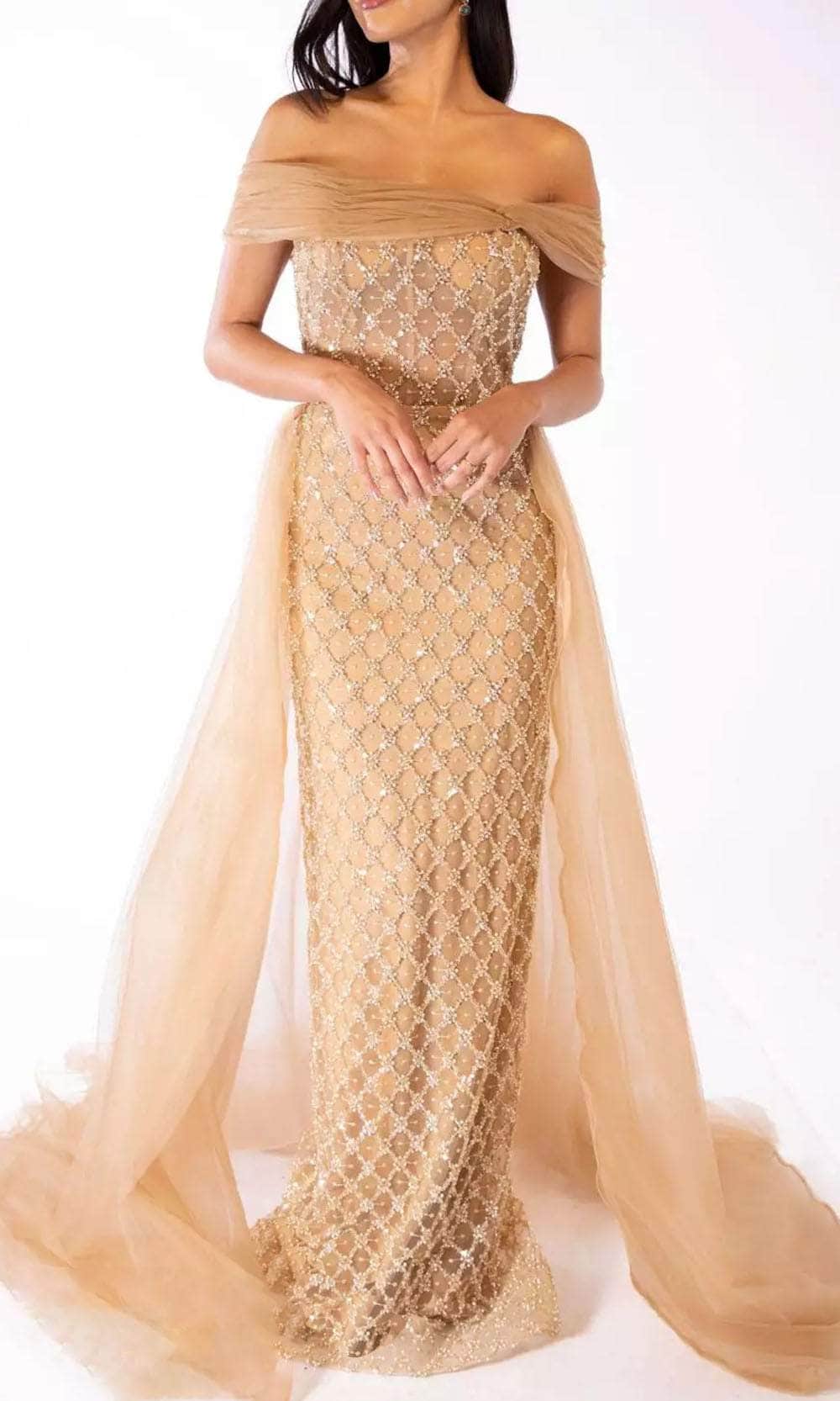 Terani Couture 241M2706