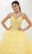 Tiffany Designs 16115 - Embroidered Ombre A-Line Evening Gown Evening Dresses 0 / Canary