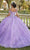 Vizcaya by Mori Lee 89422 - Sparkle Tulle Embroidered Lace Ballgown Ball Gowns