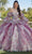 Vizcaya by Mori Lee 89423 - Floral Printed Sweetheart Ballgown Ball Gowns 00 / Wine Garden