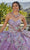 Vizcaya by Mori Lee 89423 - Floral Printed Sweetheart Ballgown Ball Gowns