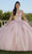 Vizcaya by Mori Lee 89424 - Sleeveless 3D Floral Embroidered Ballgown Ball Gowns