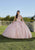 Vizcaya by Mori Lee 89424 - Sleeveless 3D Floral Embroidered Ballgown Special Occasion Dress