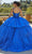 Vizcaya by Mori Lee 89428 - Sleeveless Beaded Ballgown Quinceanera Dresses