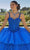 Vizcaya by Mori Lee 89428 - Sleeveless Beaded Ballgown Quinceanera Dresses