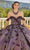Vizcaya by Mori Lee 89429 - Butterfly Embellished Sweetheart Ballgown Ball Gowns