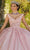 Vizcaya by Mori Lee 89432 - V-Neck Floral Lace Ballgown Ball Gowns