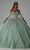 Vizcaya by Mori Lee 89444 - Corset Bodice Ballgown Ball Gowns 00 / Sage Fairy