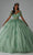 Vizcaya by Mori Lee 89445 - Off- Shoulder Embellished Ballgown Ball Gowns 00 / Sage