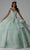 Vizcaya by Mori Lee 89447 - Crystal Beading Off-Shoulder Ballgown Ball Gowns 00 / Sage