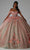 Vizcaya by Mori Lee 89448 - Scoop Neck Corset Bodice Ballgown Ball Gowns 00 / Watermelon