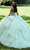Vizcaya by Mori Lee 89449 - Beaded Corset Bodice Ballgown Ball Gowns