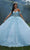 Vizcaya by Mori Lee 89454 - Strapless Embroidered Ballgown Ball Gowns 00 / Light Blue