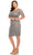 Adrianna Papell - AP1E205393 Illusion V-Neck Sheath Dress Cocktail Dresses