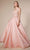 Andrea and Leo - A0696 Floral Appliqued Beaded V Cut Bodice Ballgown Prom Dresses