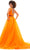 Ashley Lauren 11305 - Plunging V-Neck Ballgown Special Occasion Dress