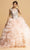 Aspeed Design - L2156 Beaded Applique Ruffled Ballgown Ball Gowns XXS / Blush