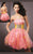 Blush - 9123 Embellished Straight Neck Curled A-line Dress Special Occasion Dress 0 / Yellow/Pink