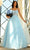 Blush by Alexia Designs 5883 - Embroidered Sleeveless Ballgown Formal Gowns 0 / Powder Blue