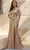 Christina Wu Celebration 22141 - V-Neck Evening Gown Evening Dresses