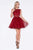 Cinderella Divine - CD0117 Sleeveless Lace Bodice Tulle A-Line Cocktail Dress Special Occasion Dress XXS / Burgundy