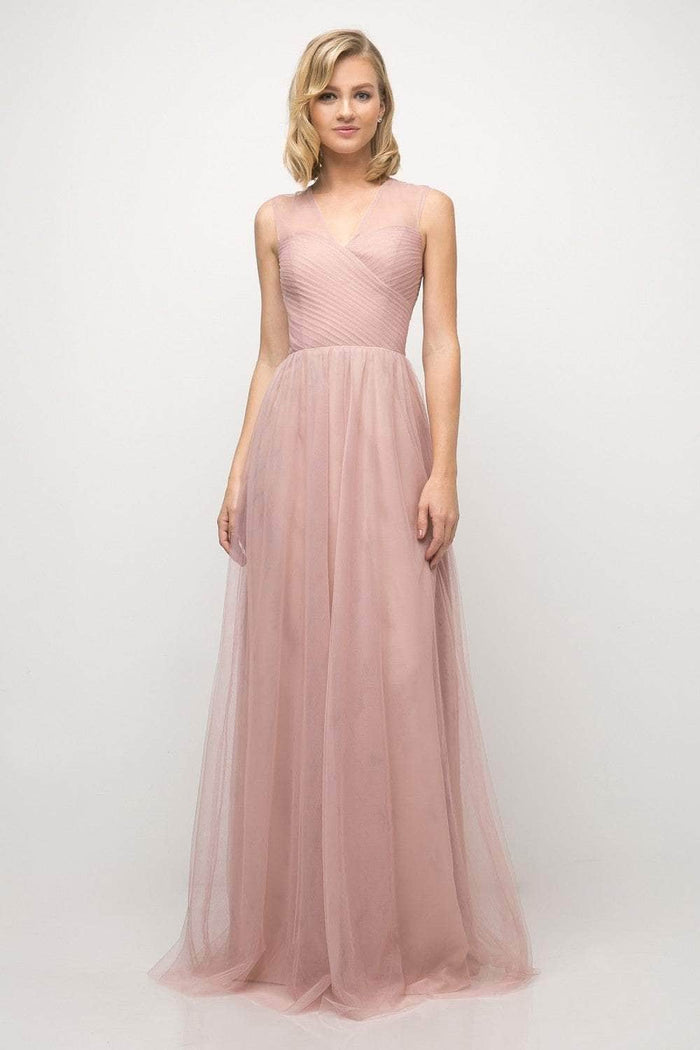 Cinderella Divine - ET320 Sleeveless Pleated Top Tulle A Line Gown Special Occasion Dress 2 / Blush