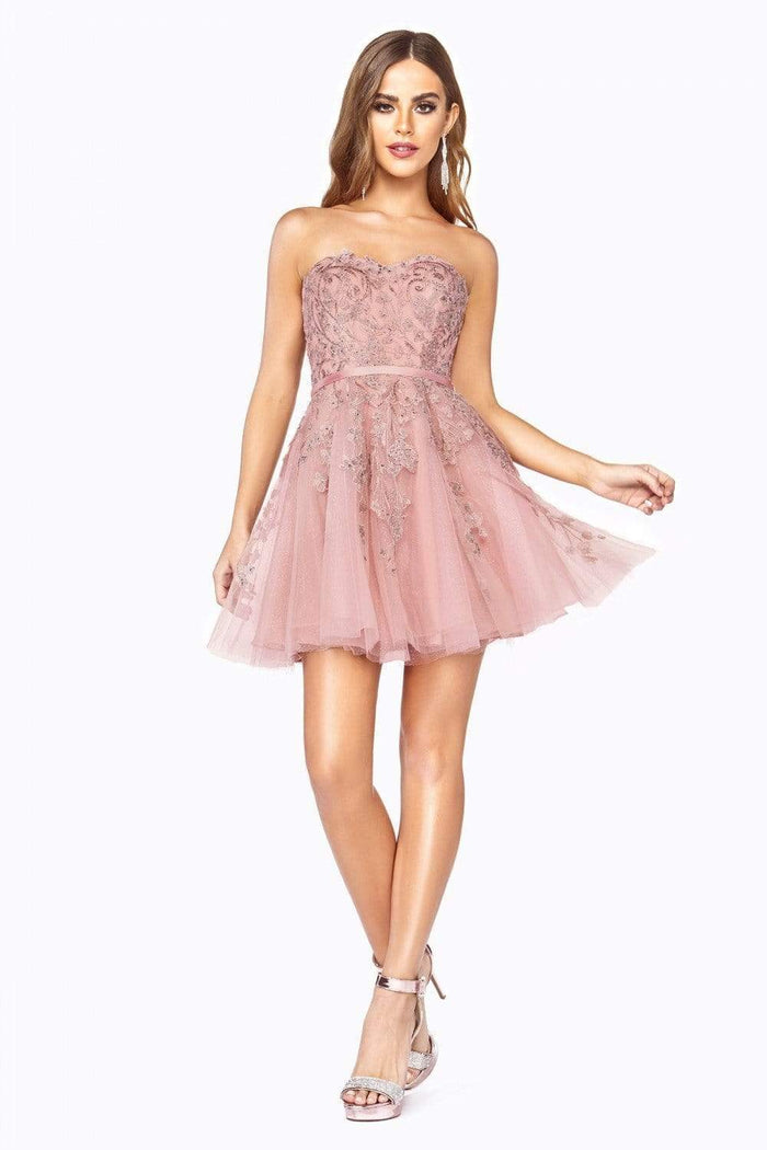 Cinderella Divine - KV1048 Floral Applique Sweetheart A-line Dress Homecoming Dresses XXS / Blush