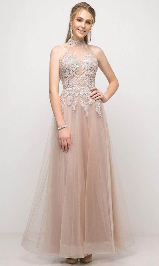 Cinderella Divine UT252 - Tulle High Neck Embroidered Gown