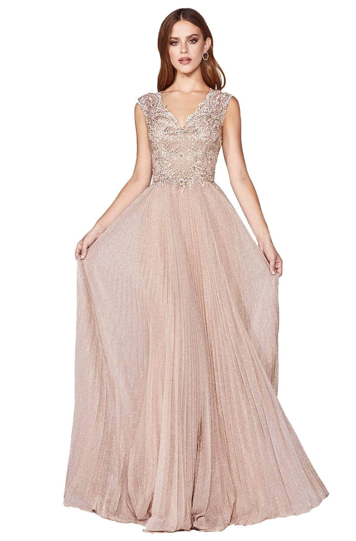 Cinderella Divine - V-Back Beaded Lace Prom Dress HT011 Prom Dresses 16 / Dusty Rose