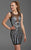 Clarisse - 358 Sleeveless Sheer Metallic Dress Special Occasion Dress