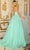 Clarisse 810600 - Beaded Appliqued Sleeveless Ballgown Special Occasion Dress