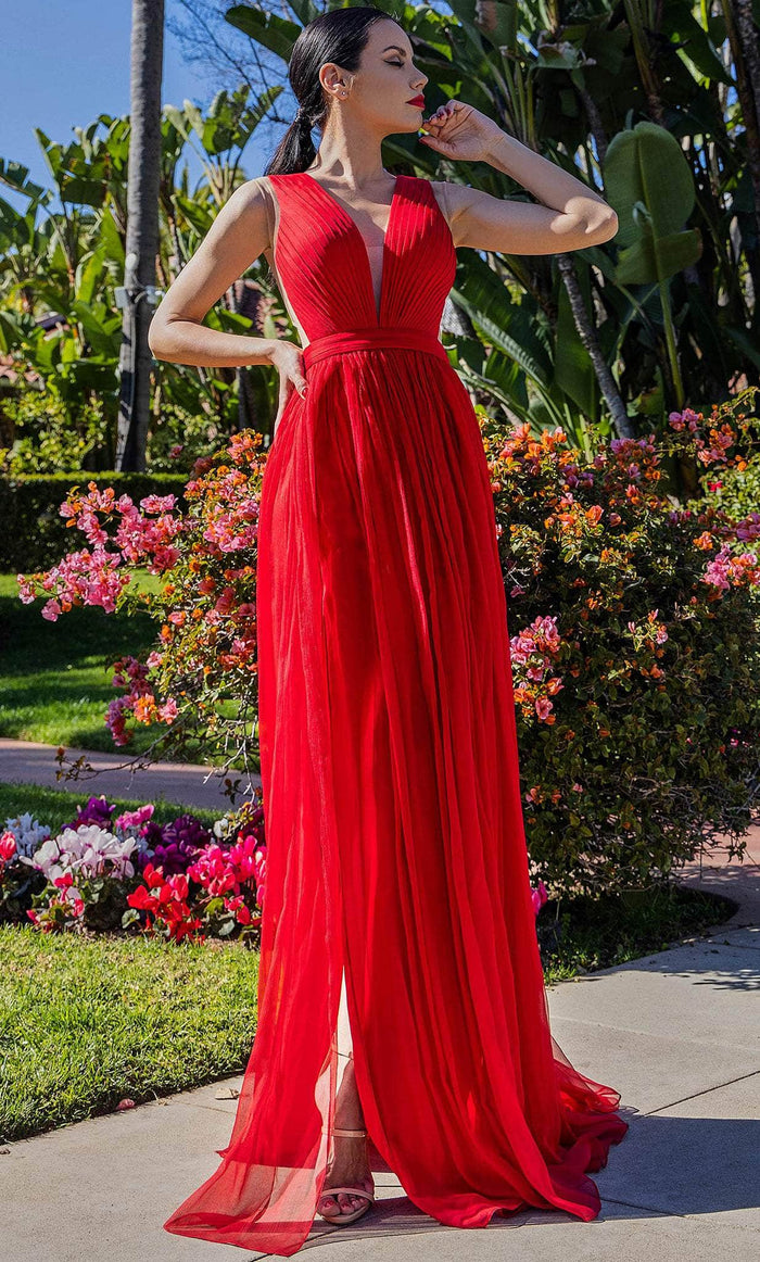 Cristallini SKA1400 - Plisse A-Line Evening Gown Special Occasion Dress XS / Dark Red
