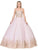 Dancing Queen - 1115 Bead Embellished Sweetheart Formal Ball Gown Sweet 16 Dresses XS / Dusty Pink