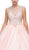 Dancing Queen - 1149 Cap Sleeve Jeweled Illusion Bodice Ballgown Special Occasion Dress