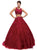 Dancing Queen - 1155 Two-Piece Sequined Floral Quinceanera Gown Special Occasion Dress XS / Burgundy