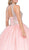 Dancing Queen - 1205 Embellished Jewel Quinceanera Gown Special Occasion Dress