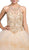 Dancing Queen - 1231 Embellished Halter Quinceanera Ballgown Special Occasion Dress