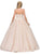 Dancing Queen - 1323 Beaded Embroidered Quinceanera Dress Special Occasion Dress