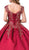 Dancing Queen - 1344 Cap Sleeve Floral Gilt-Appliqued Ballgown Special Occasion Dress