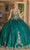 Dancing Queen 1478 - Sweetheart Embellished Ballgown Special Occasion Dress XS / Hunter Green