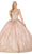 Dancing Queen 1478 - Sweetheart Embellished Ballgown Special Occasion Dress XS / Rose Gold
