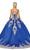 Dancing Queen - 1494 Sweetheart Neck Gold Applique Ballgown Special Occasion Dress