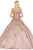 Dancing Queen - 1511 Bedazzled Off-Shoulder Pleated Ballgown Quinceanera Dresses