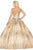 Dancing Queen - 1533 Floral Applique Sweetheart Ballgown Quinceanera Dresses
