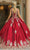 Dancing Queen - 1551 Beaded Lace Applique Embellished Ballgown Quinceanera Dresses