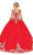 Dancing Queen - 1566 Cap Sleeve Appliqued Ballgown Quinceanera Dresses